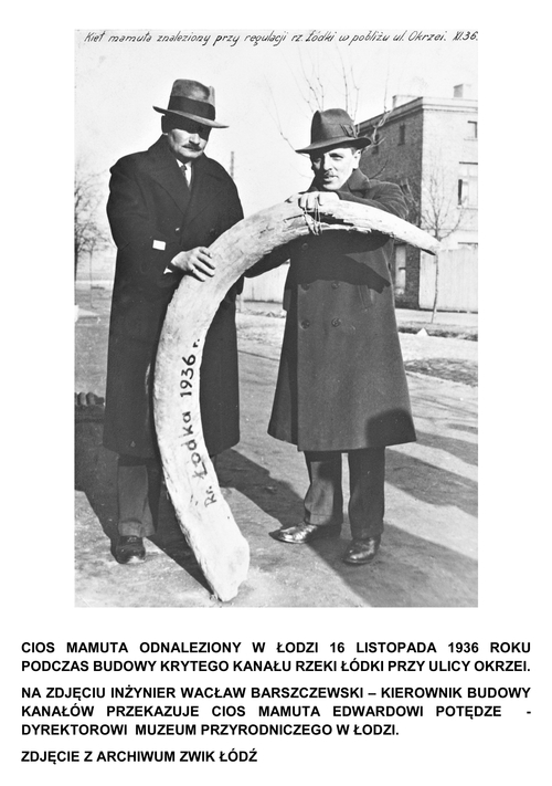 dwaj mężczyźni z kłem mamuta, zdjęcie archiwalne